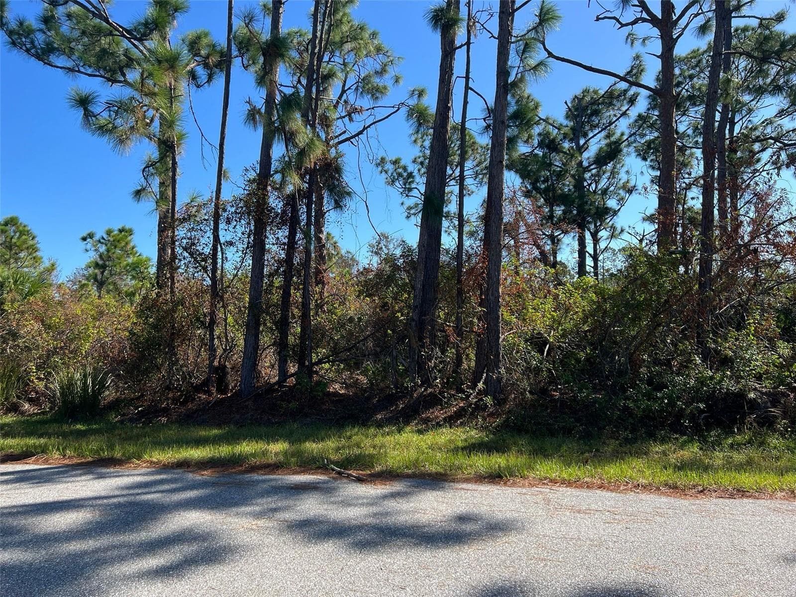 7364 Walcott Rd