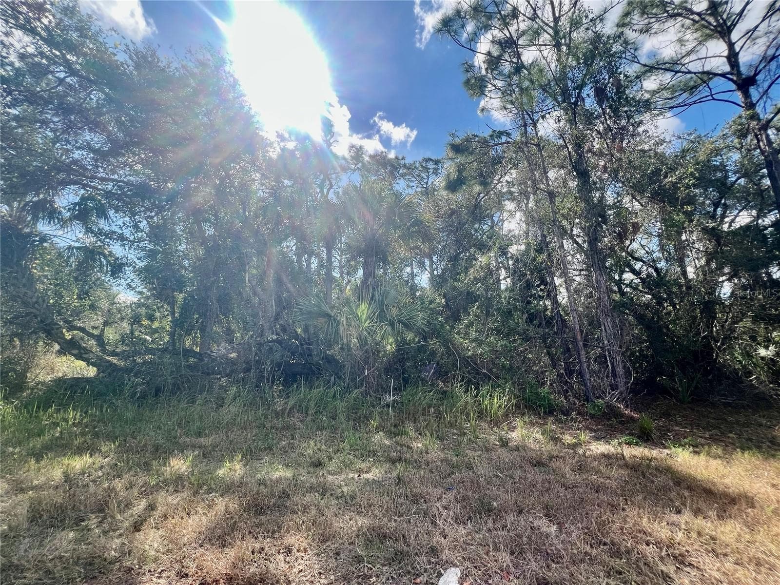 Lot 7 Abbeville Rd