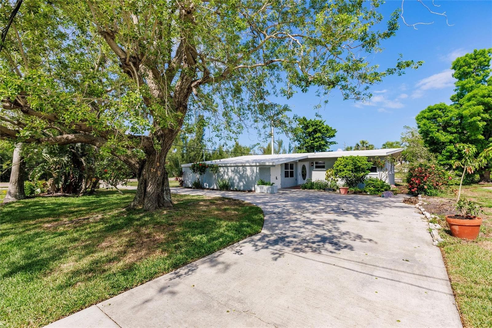 3129 Buttonwood Pl