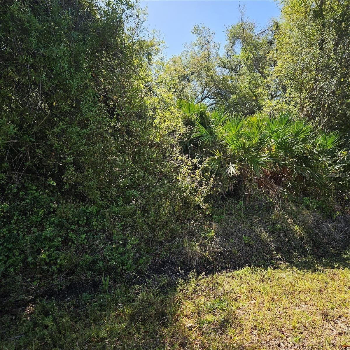 Janaro Rd